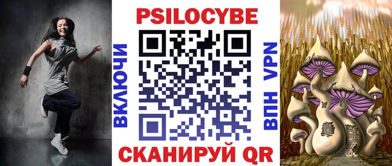 Купить где  Старый Оскол  Галлюциногенные грибы Psilocybe 